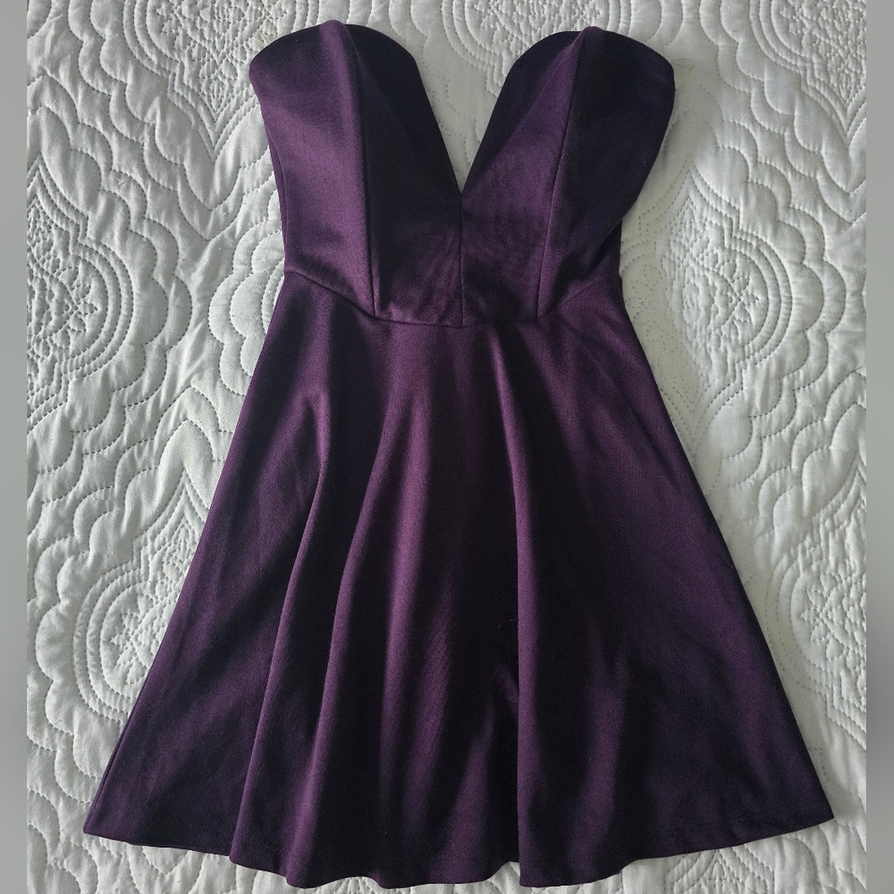 Tobi Elegant Plum Strapless Dress